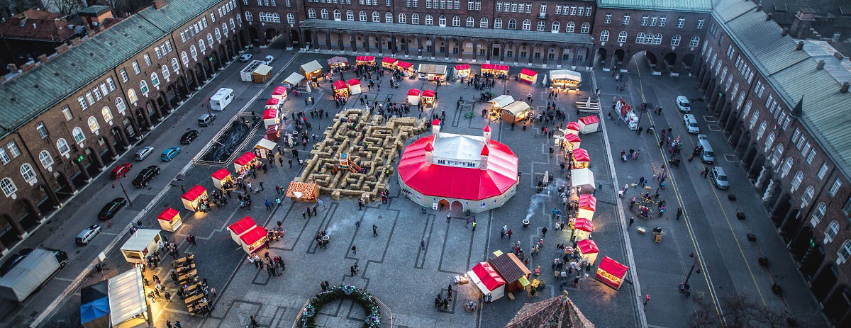 Sicurezza nelle Manifestazioni Pubbliche